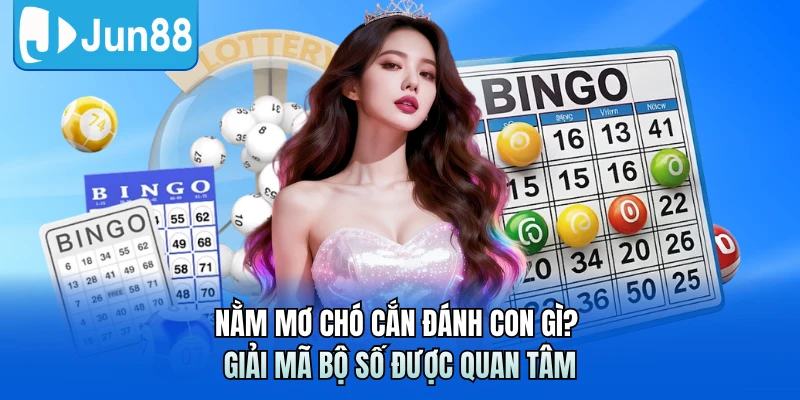 Nằm Mơ Chó Cắn Đánh Con Gì? Giải Mã Bộ Số Được Quan Tâm
